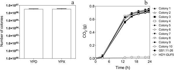 Figure 13