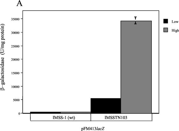 FIG. 6.