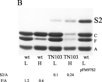 FIG. 6.