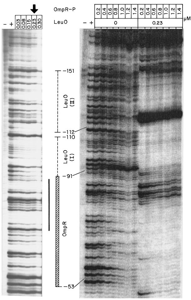 FIG. 8.