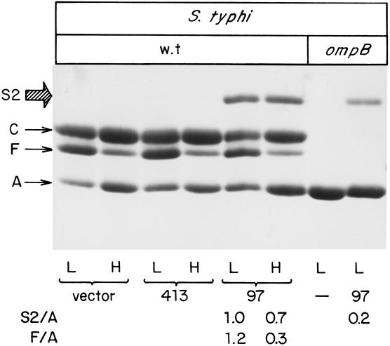 FIG. 5.