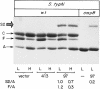 FIG. 5.