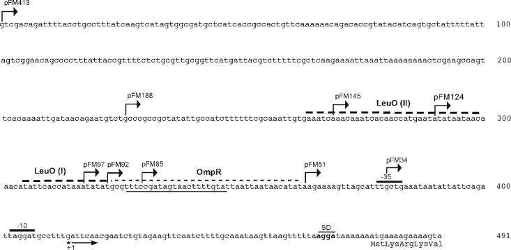 FIG. 2.