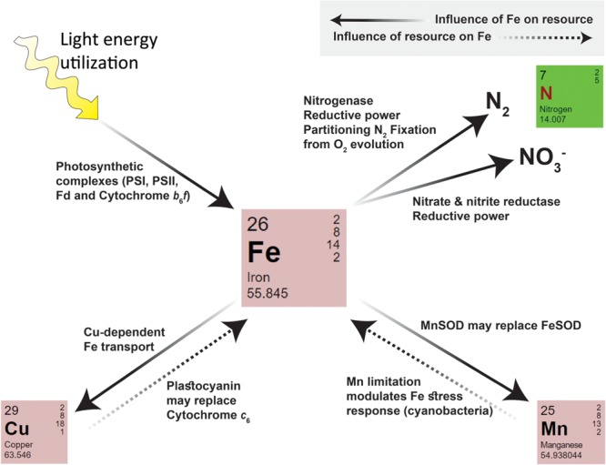 FIGURE 3