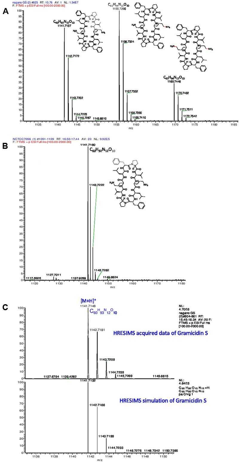 FIGURE 6