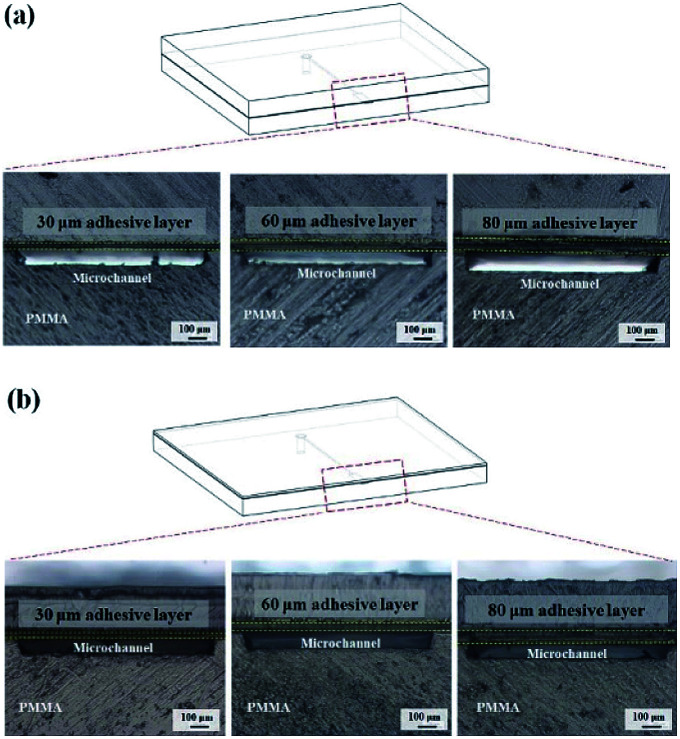 Fig. 9