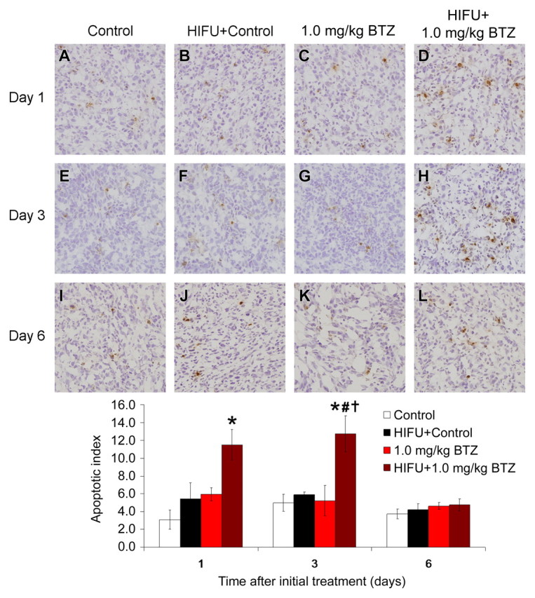 Figure 4: