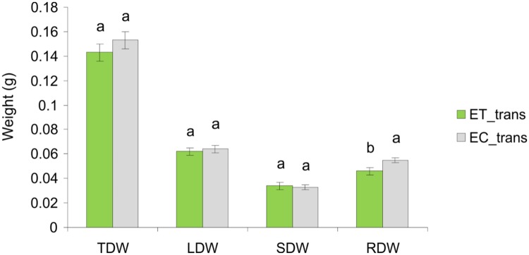 Fig 6