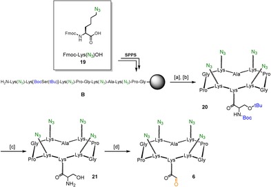 Scheme 3