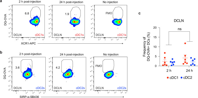 Figure 2—figure supplement 1.