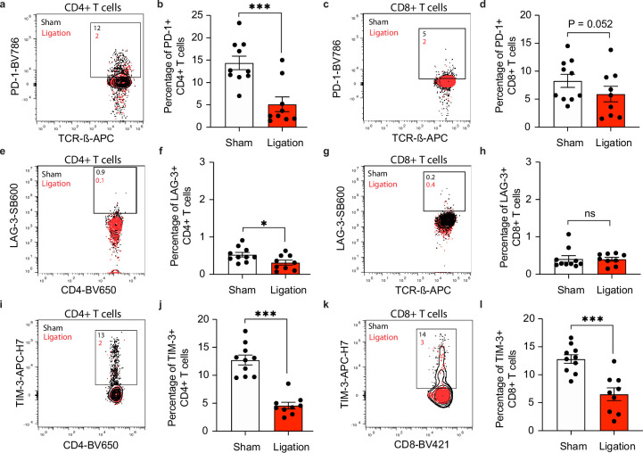 Figure 4—figure supplement 2.