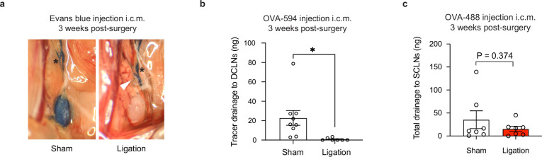 Figure 3—figure supplement 1.