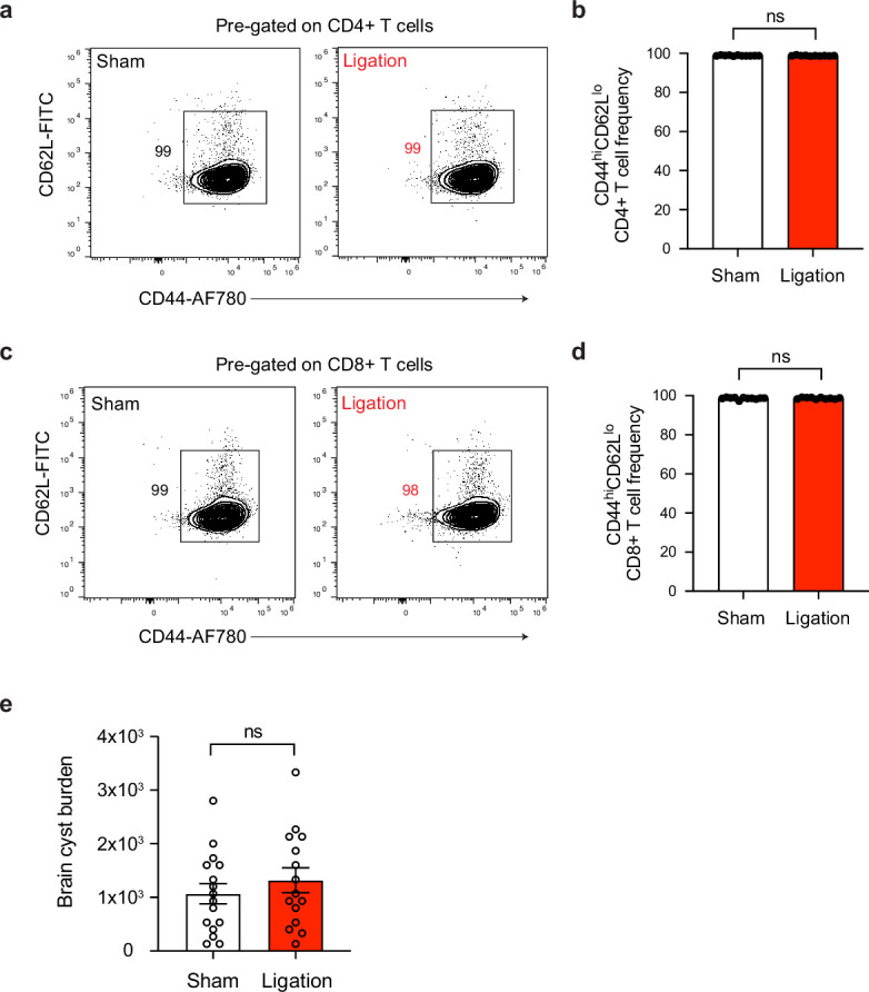 Figure 5—figure supplement 1.