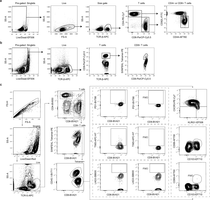 Figure 2—figure supplement 2.