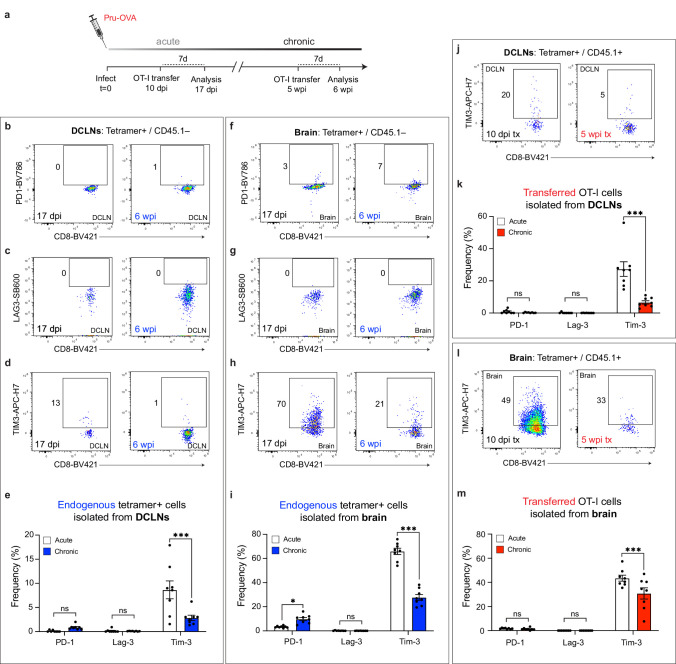 Figure 2—figure supplement 3.