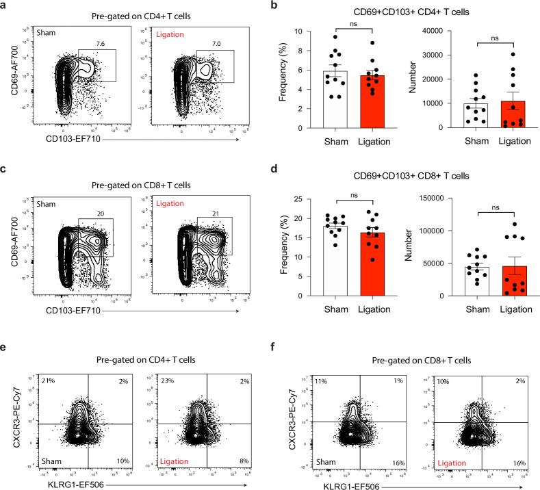 Figure 5—figure supplement 3.