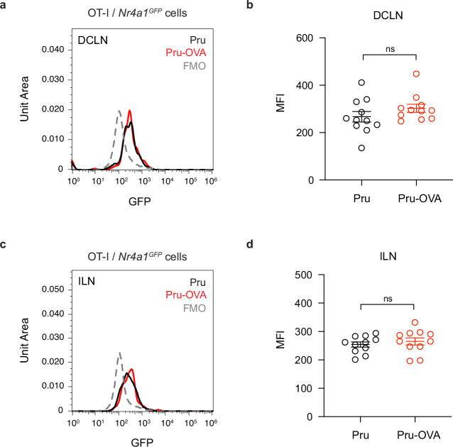 Figure 6—figure supplement 1.