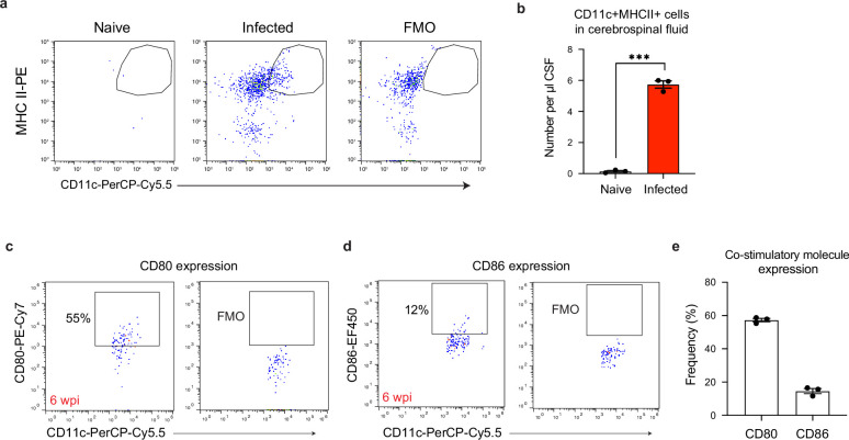 Figure 1—figure supplement 3.