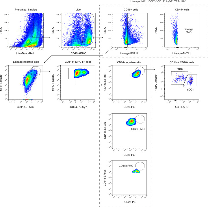 Figure 1—figure supplement 1.