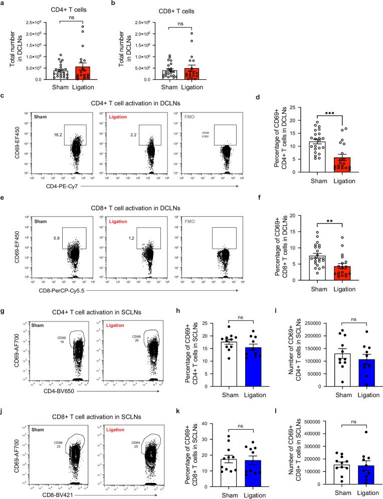 Figure 4—figure supplement 1.