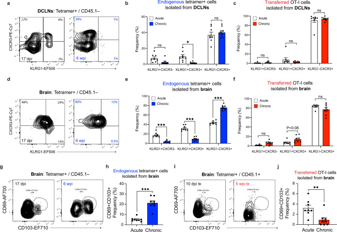 Figure 2—figure supplement 4.