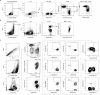 Figure 2—figure supplement 2.