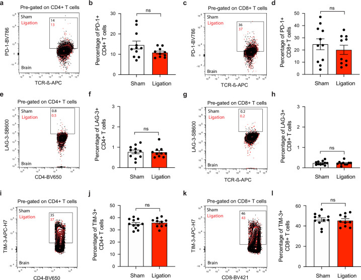 Figure 5—figure supplement 2.