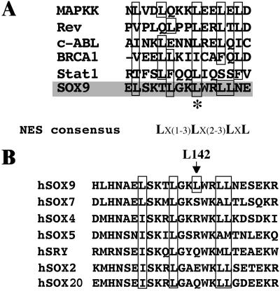 Fig 1.