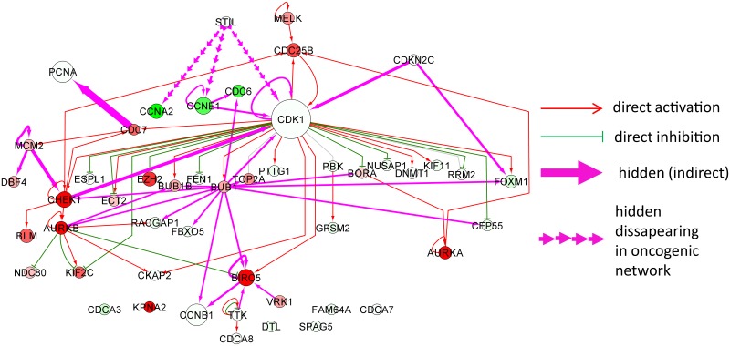 Fig 7