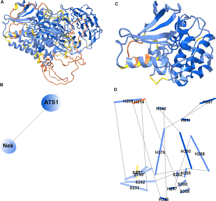 FIGURE 7