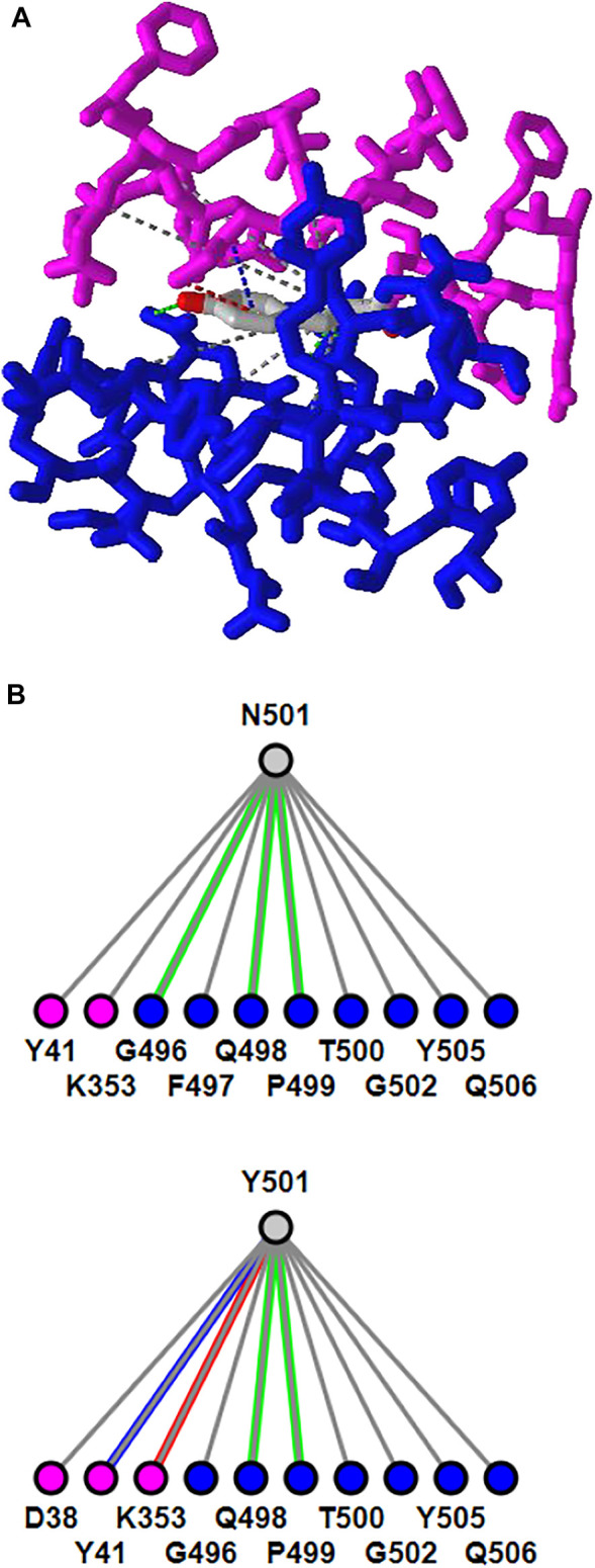 FIGURE 3