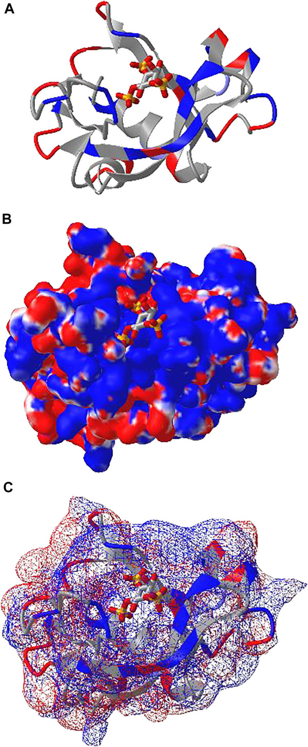 FIGURE 4