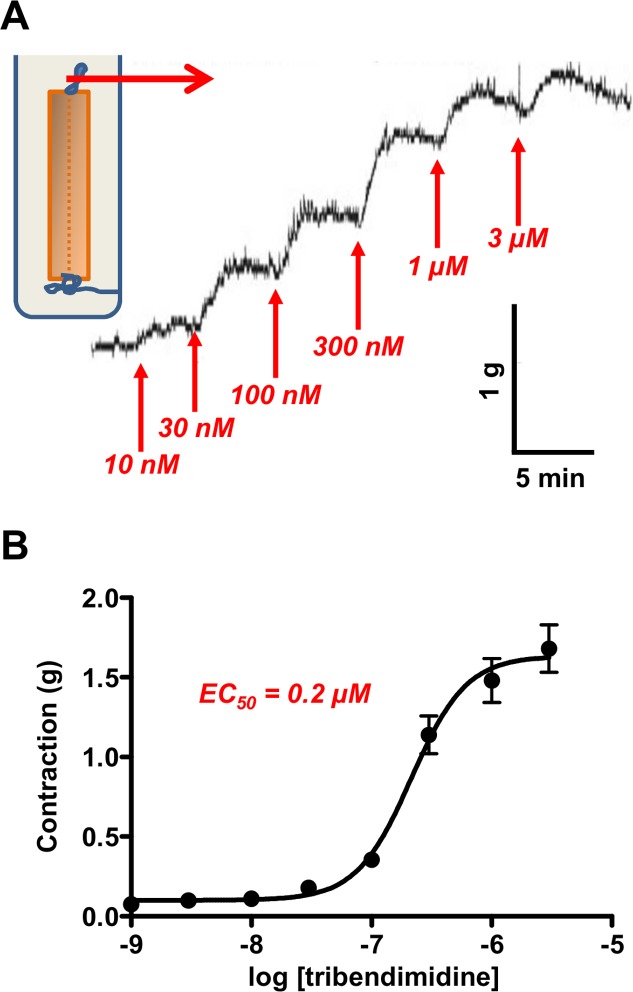 Fig 3