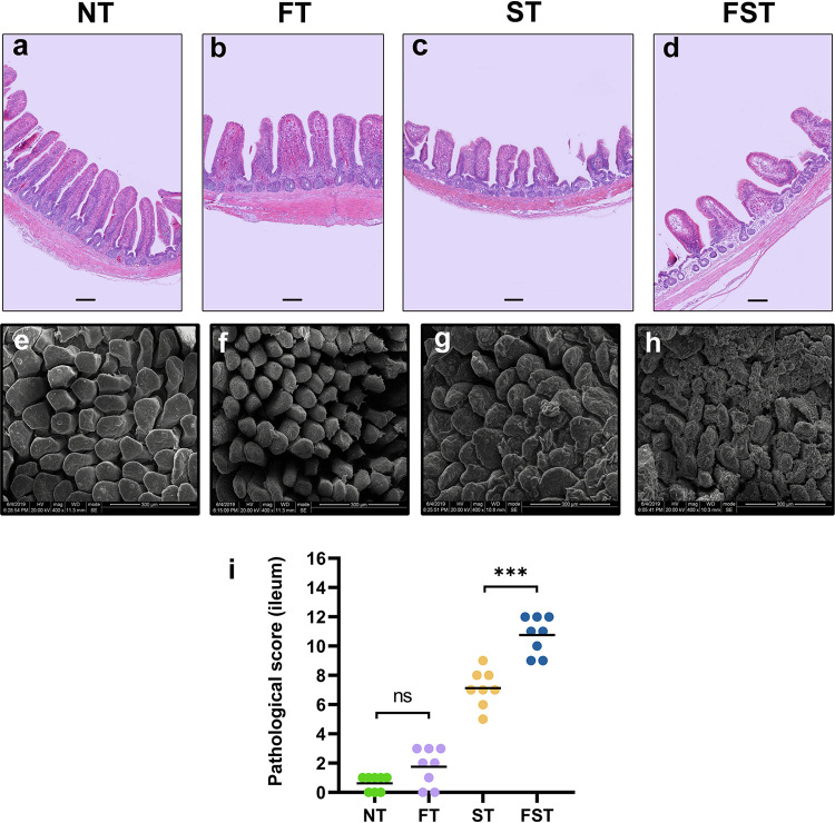 FIG 2