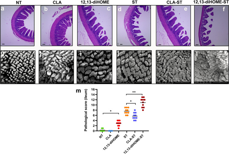 FIG 11