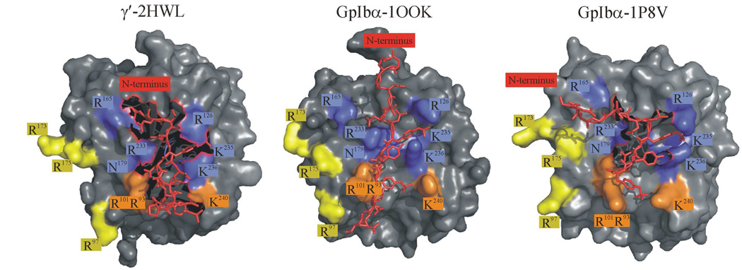 Figure 12