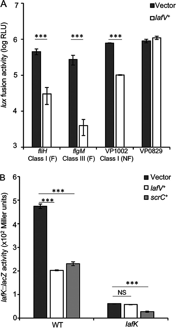 FIG 6