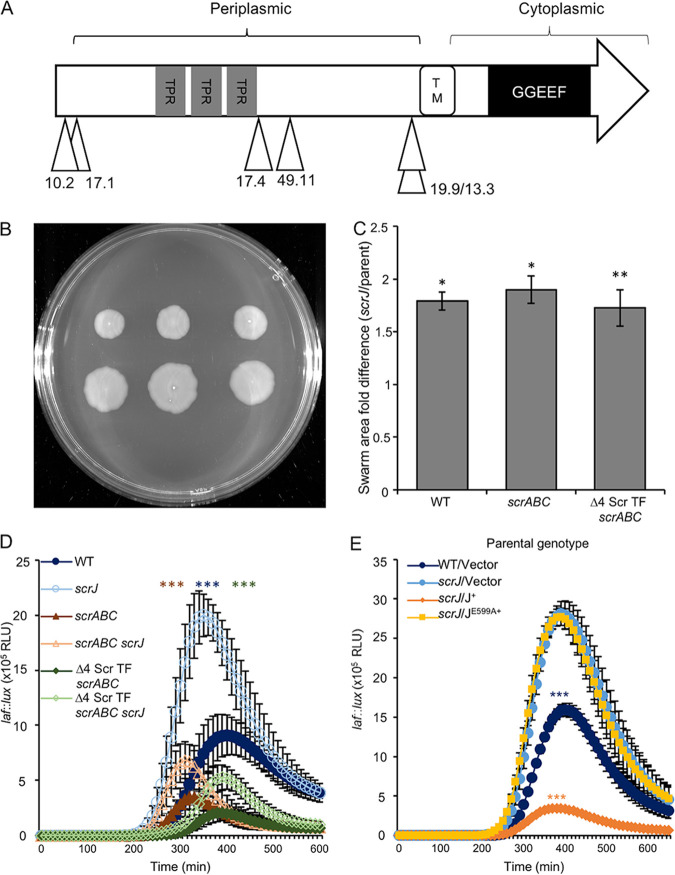 FIG 3