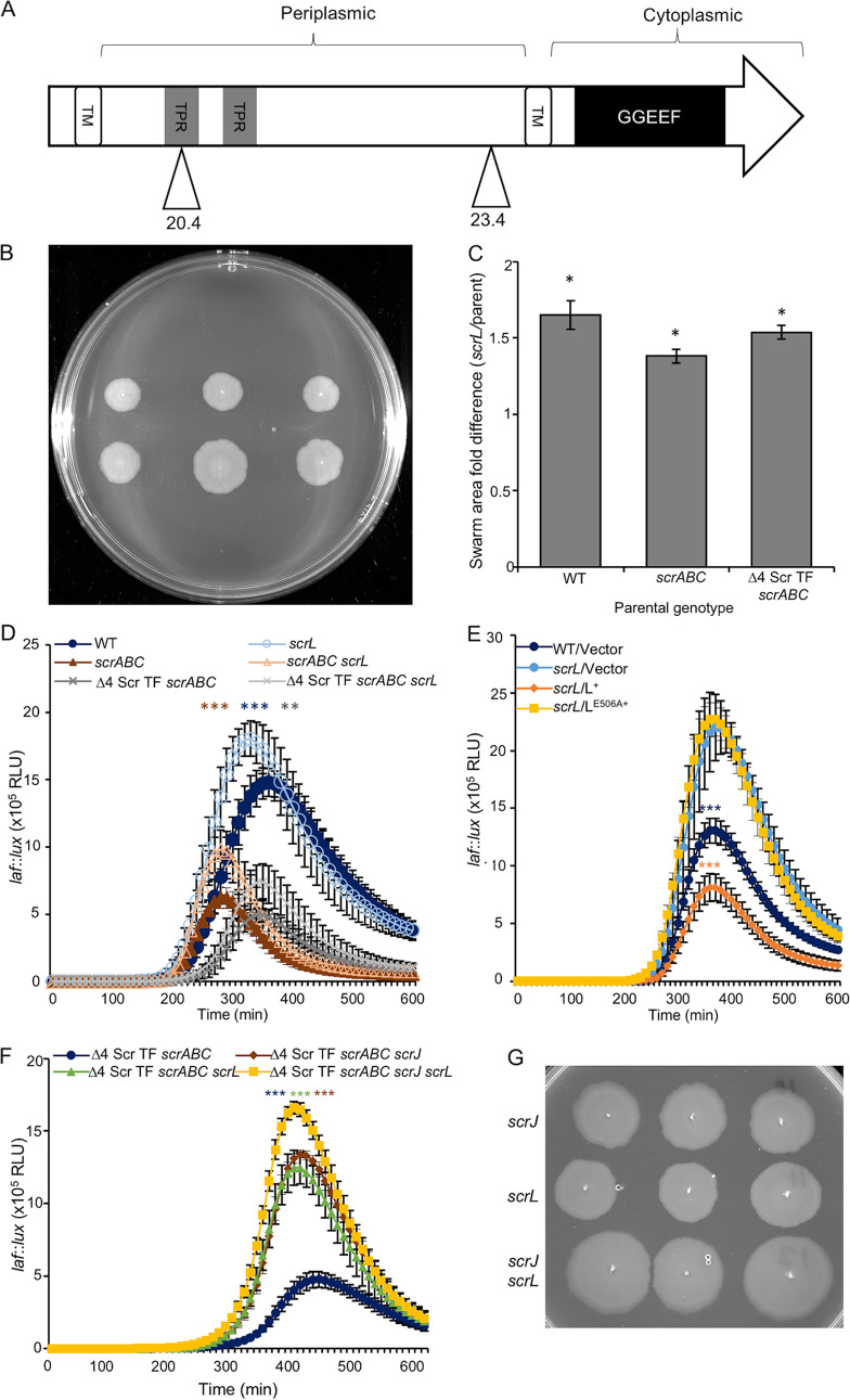 FIG 4