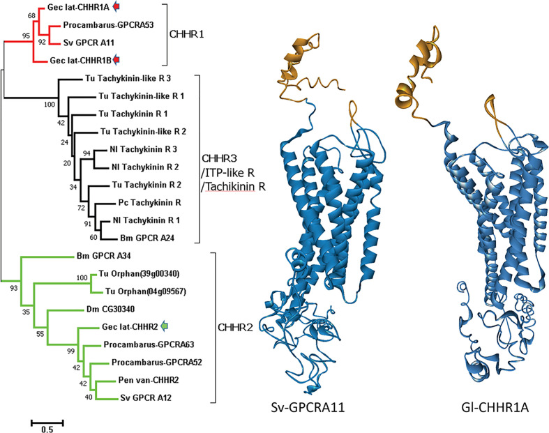 Figure 2