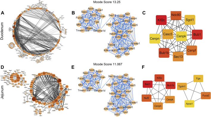 FIGURE 4