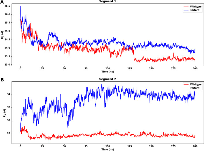 Fig. 10