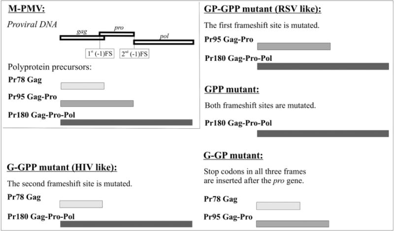 Fig.1