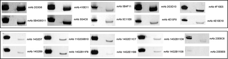 Fig. 4