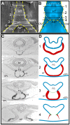 Fig. 7.