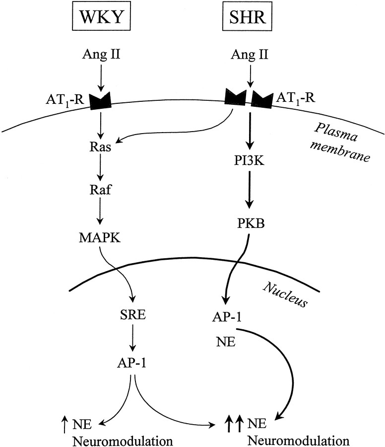 Fig. D1.