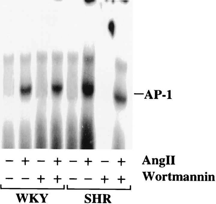 Fig. 8.