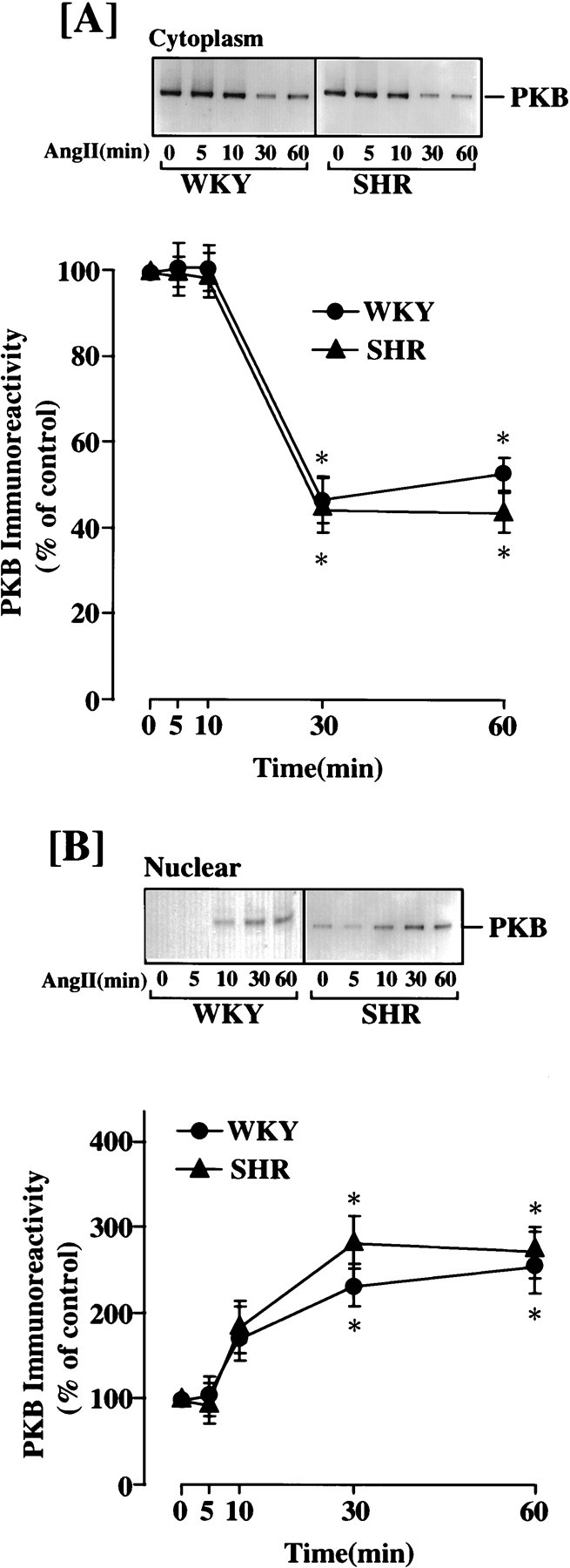 Fig. 11.