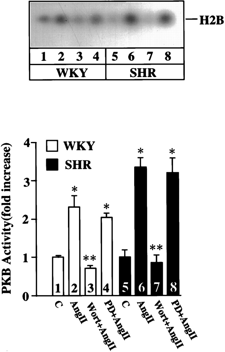 Fig. 10.