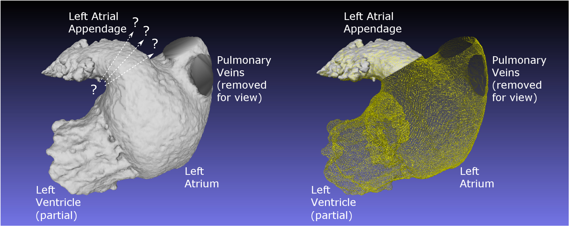 Figure 1: